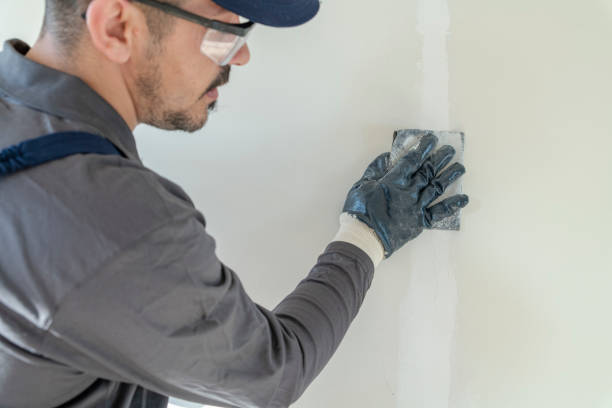 Best Commercial Mold Inspection  in Benld, IL